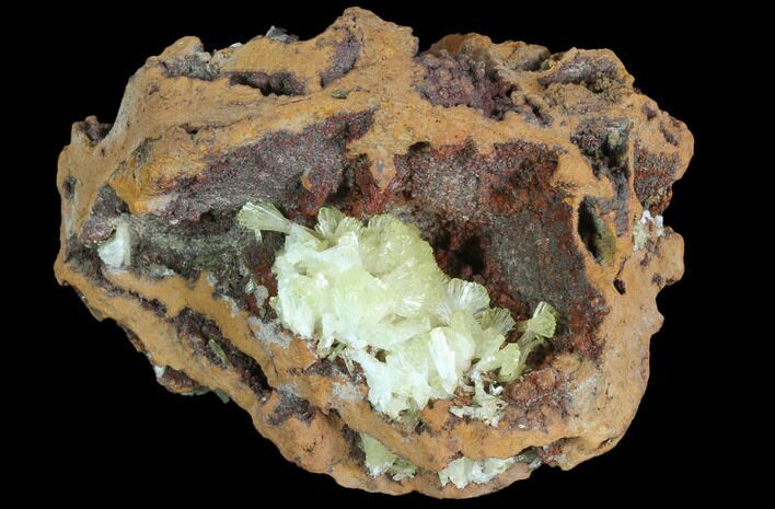 Gemmy, Yellow-Green Adamite Crystals - Durango, Mexico #88881